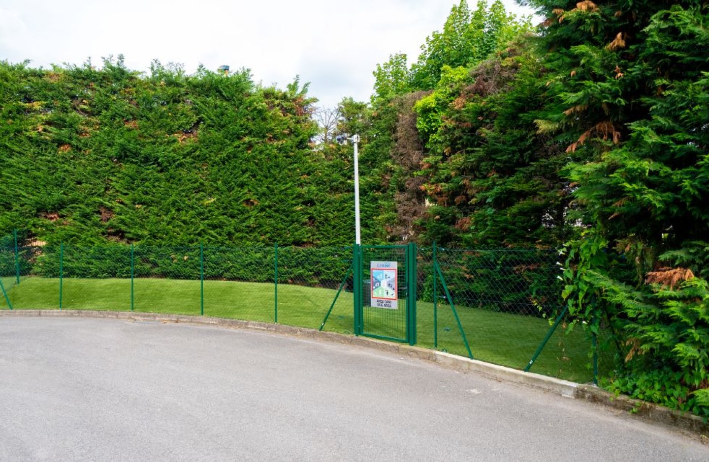 dog area
