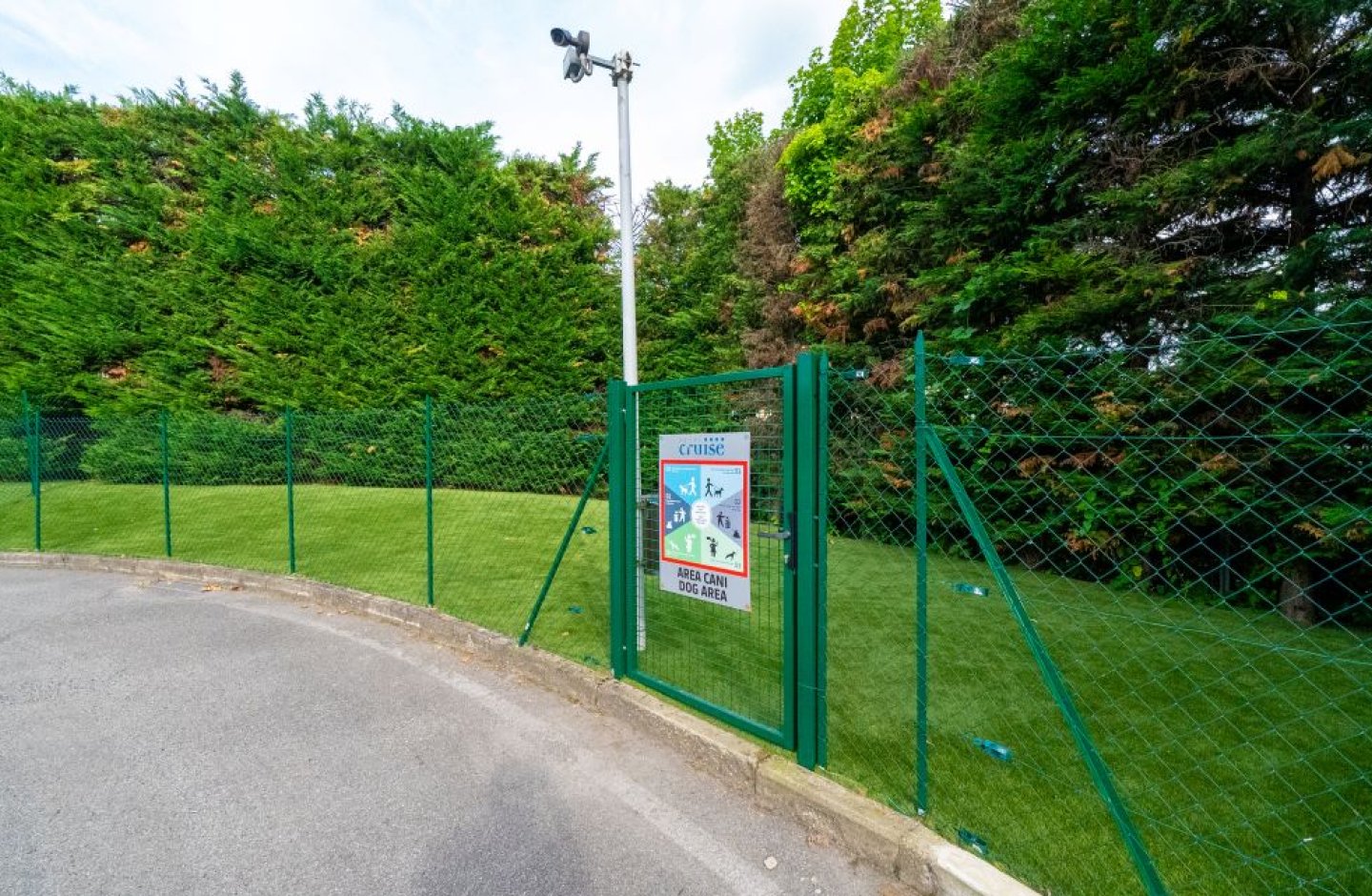 dog area